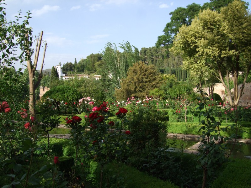 Anadalusien 2009 - 0990 